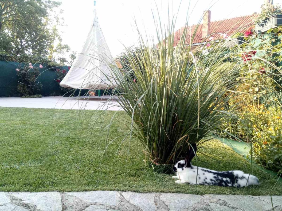 Yard House Trpejca Hotel Ohrid Exterior foto